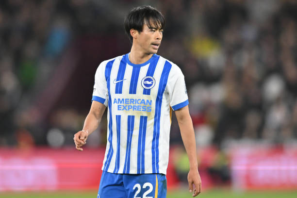 样性和冷静 样性和冷静